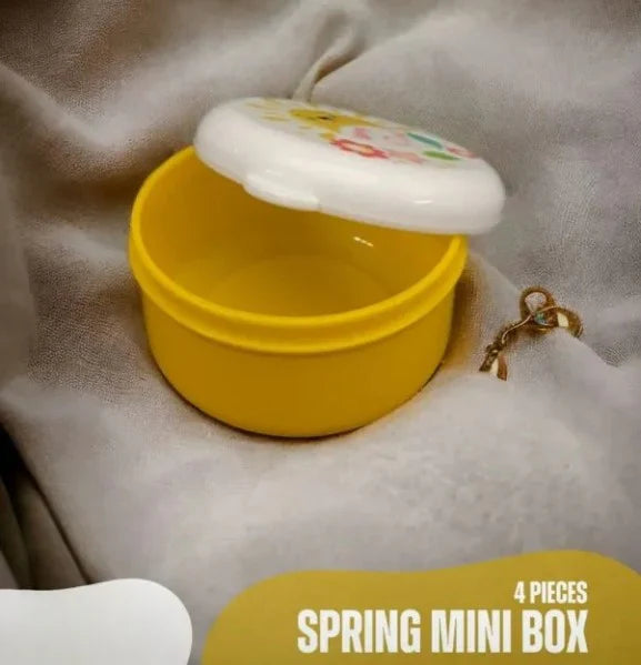 4 Pcs Mini Spring Sealed Food Storage Containers