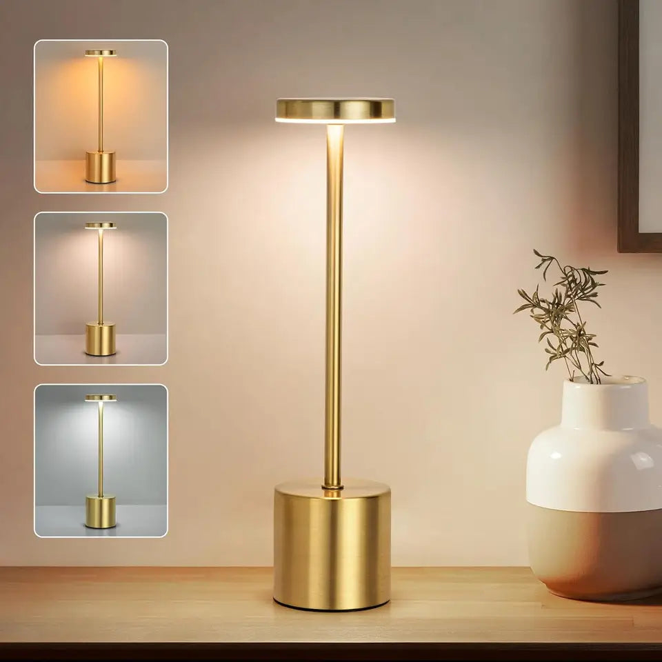 3 Colors LED Desk Lamp